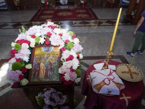 DSC08328_resize