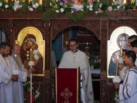 DSC08352_resize