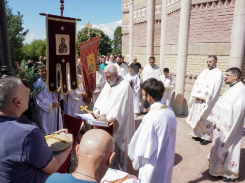 DSC08419_resize