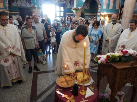 DSC08498_resize