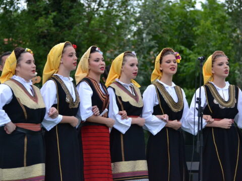 DSC_0294_resize_resize