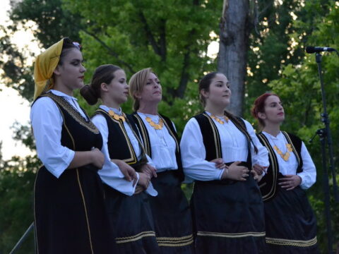 DSC_0369_resize_resize