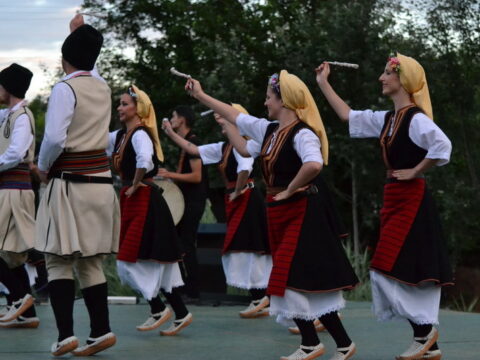 DSC_0420_resize_resize