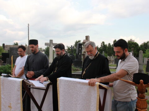 IMG_4100_resize