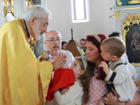 IMG_4220_resize