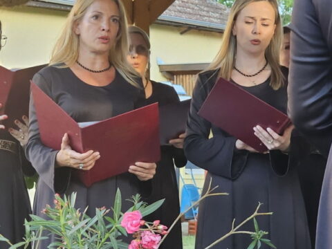 IMG_7878_resize