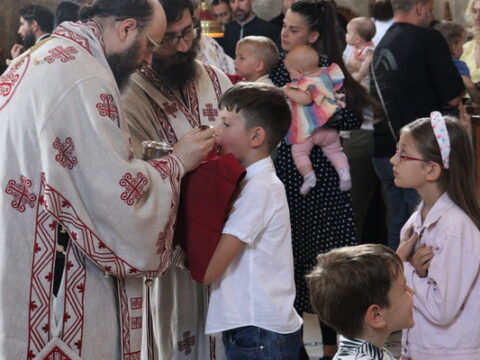 IMG_9601_resize