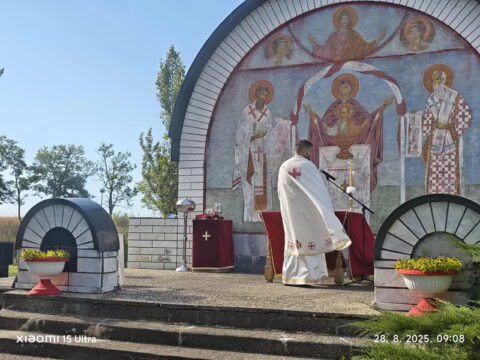 1000018854_resize