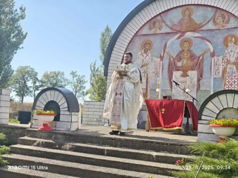 1000018856_resize