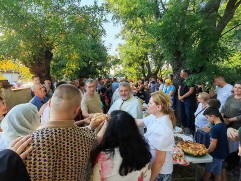 1000023441_resize