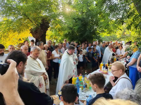 1000023442_resize