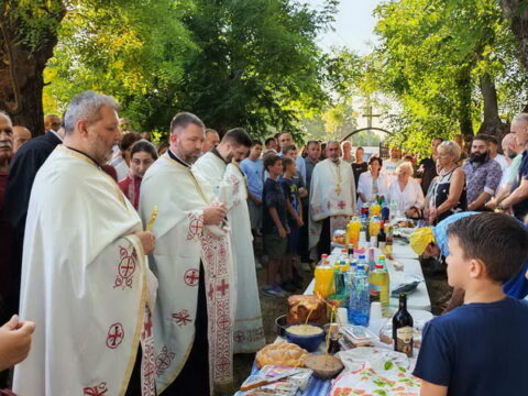 1000023443_resize