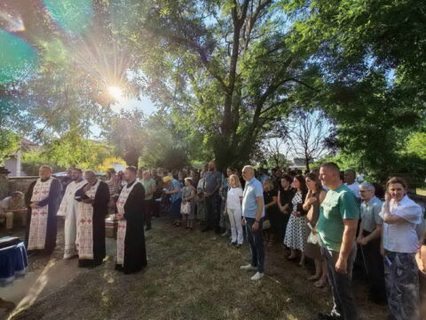 1000023445_resize