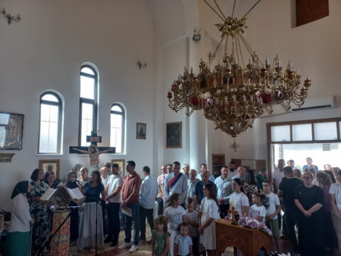 1000026392_resize
