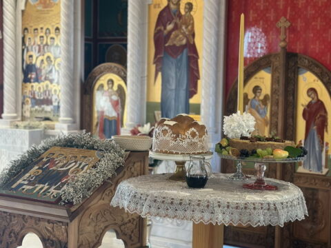 1000036478_resize