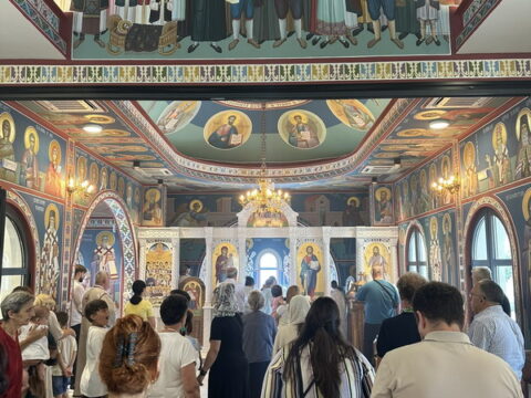 1000036503_resize