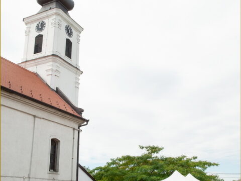 20_resize