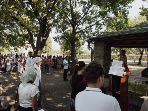 DSC08550_resize