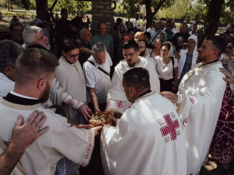 DSC08591_resize