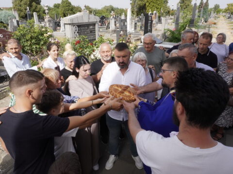 DSC08678_resize
