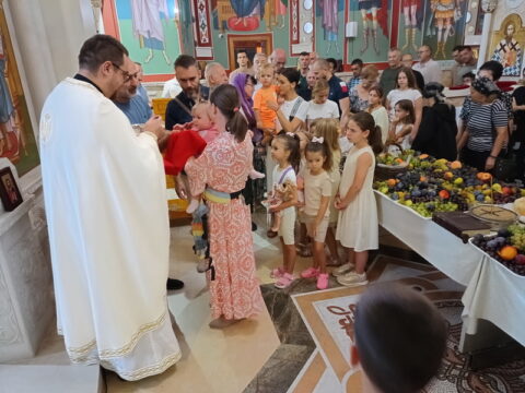 IMG_20260819_101136643_BURST000_COVER_resize