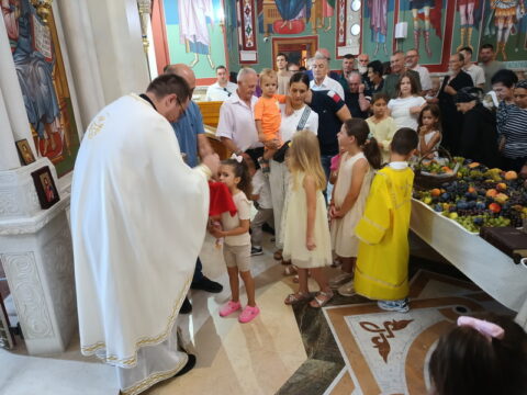 IMG_20260819_101158484_BURST000_COVER_resize