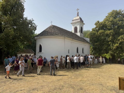 IMG_8036_resize
