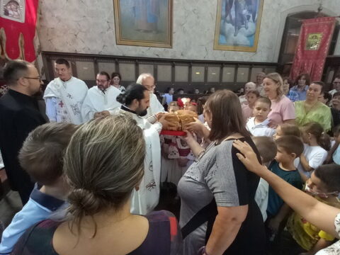 1000005129_resize