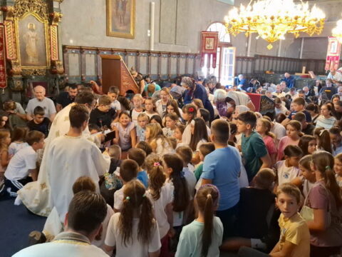 1000011959_resize