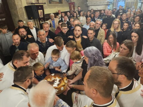 1000013261_resize