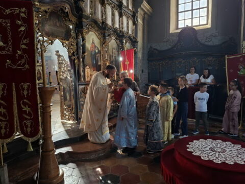 1000022420_resize