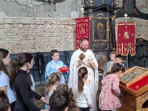 1000022432_resize
