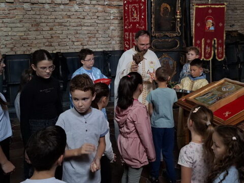 1000022433_resize