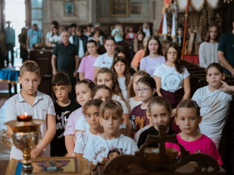 1000023219_resize