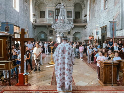 1000023224_resize