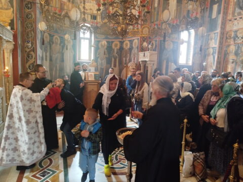 1000023349_resize