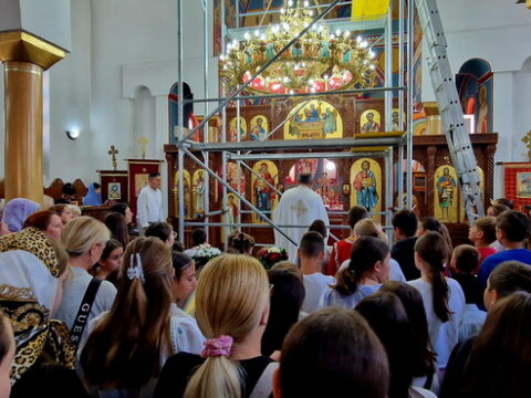 1000026732_resize
