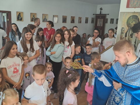1000030167_resize