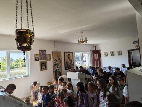 1000030174_resize