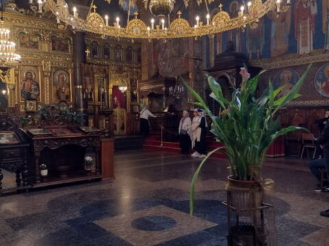 1000047654_resize