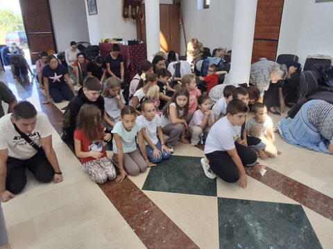1000088098_resize