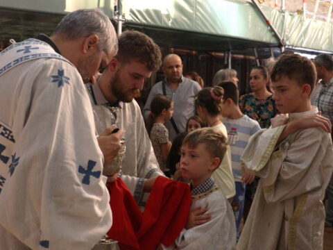 IMG_0239_resize