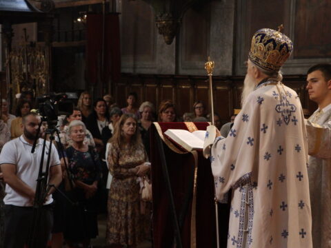 IMG_0441_resize