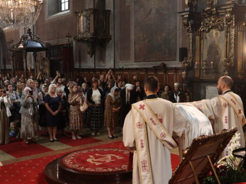 IMG_0456_resize