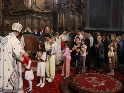 IMG_0508_resize