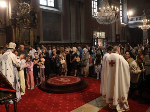 IMG_0509_resize