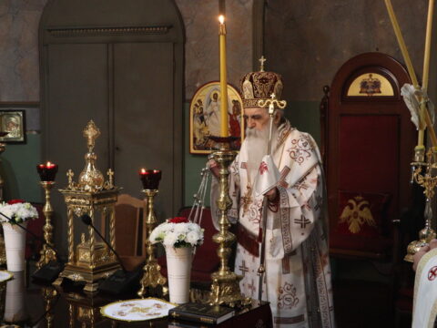 IMG_0599_resize