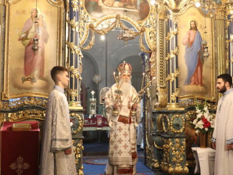 IMG_0628_resize