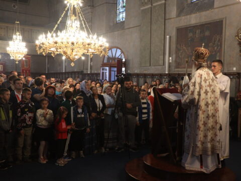 IMG_0650_resize
