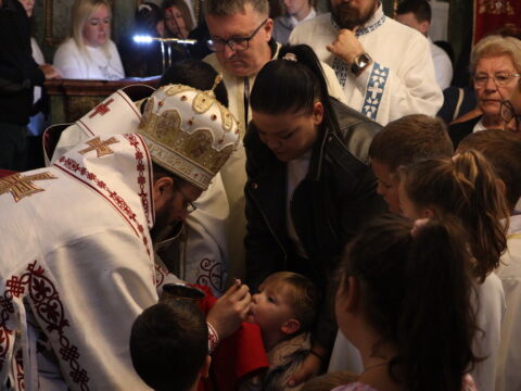 IMG_0707_resize